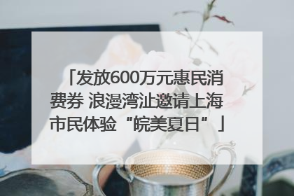 发放600万元惠民消费券 浪漫湾沚邀请上海市民体验“皖美夏日”