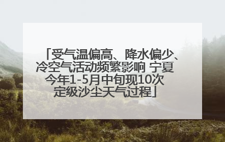 受气温偏高、降水偏少、冷空气活动频繁影响 宁夏今年1-5月中旬现10次定级沙尘天气过程
