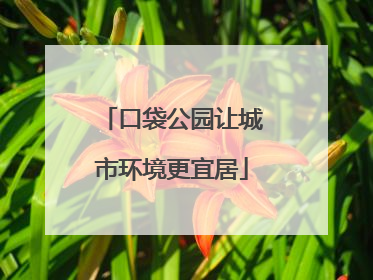 口袋公园让城市环境更宜居