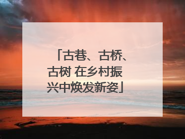 古巷、古桥、古树 在乡村振兴中焕发新姿