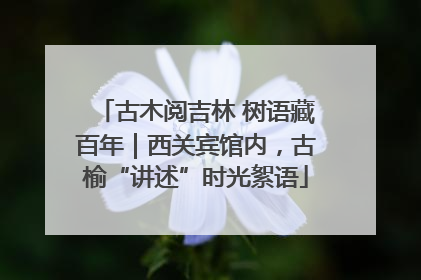 古木阅吉林 树语藏百年｜西关宾馆内，古榆“讲述”时光絮语