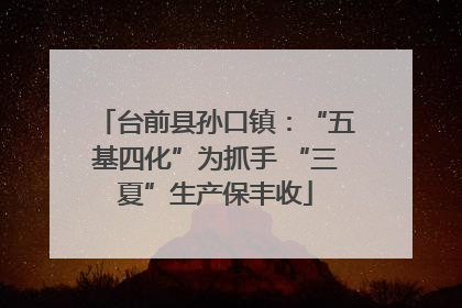 台前县孙口镇：“五基四化”为抓手 “三夏”生产保丰收