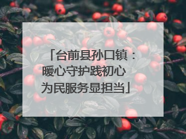 台前县孙口镇：暖心守护践初心 为民服务显担当