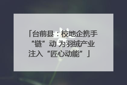 台前县：校地企携手“链”动 为羽绒产业注入“匠心动能”