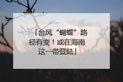 台风“蝴蝶”路径有变！或在海南这一带登陆