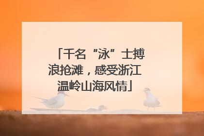 千名“泳”士搏浪抢滩，感受浙江温岭山海风情