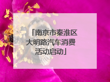 南京市秦淮区大明路汽车消费活动启动