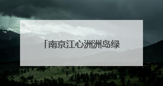 南京江心洲洲岛绿园社区举办第五届“乐享社区节”