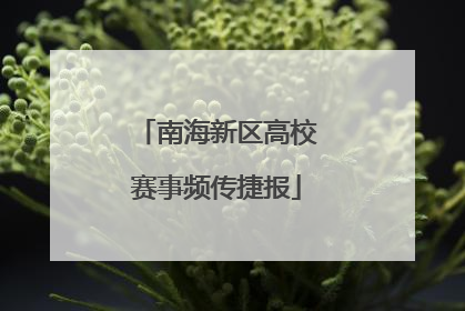 南海新区高校赛事频传捷报