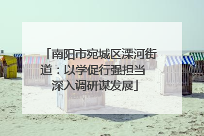 南阳市宛城区溧河街道：以学促行强担当 深入调研谋发展