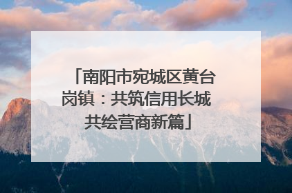 南阳市宛城区黄台岗镇：共筑信用长城 共绘营商新篇