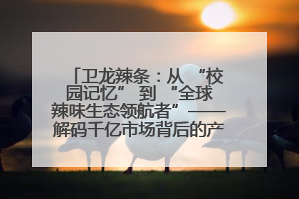 卫龙辣条：从 “校园记忆” 到 “全球辣味生态领航者”——解码千亿市场背后的产品创新与全链路破圈