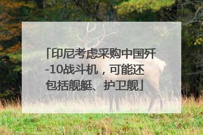 印尼考虑采购中国歼-10战斗机，可能还包括舰艇、护卫舰