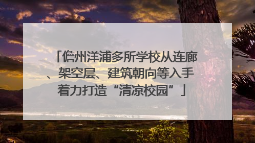 儋州洋浦多所学校从连廊、架空层、建筑朝向等入手 着力打造“清凉校园”