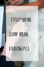 兴产业强治理 抓项目促振兴