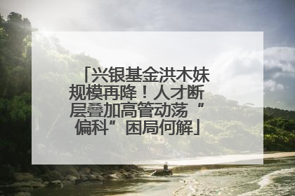 兴银基金洪木妹规模再降！人才断层叠加高管动荡“偏科”困局何解