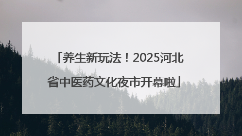 养生新玩法！2025河北省中医药文化夜市开幕啦