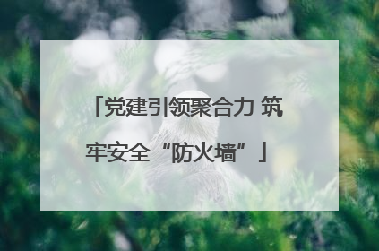 党建引领聚合力 筑牢安全“防火墙”