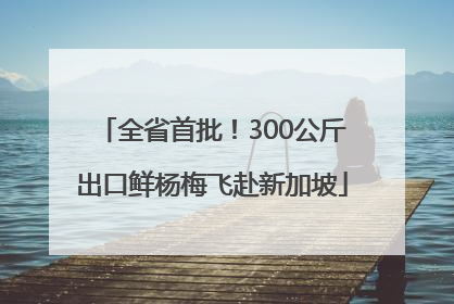 全省首批！300公斤出口鲜杨梅飞赴新加坡