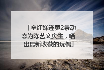 全红婵连更2条动态为陈艺文庆生，晒出最新收获的玩偶