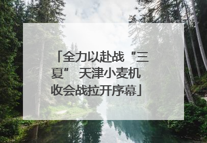 全力以赴战“三夏” 天津小麦机收会战拉开序幕