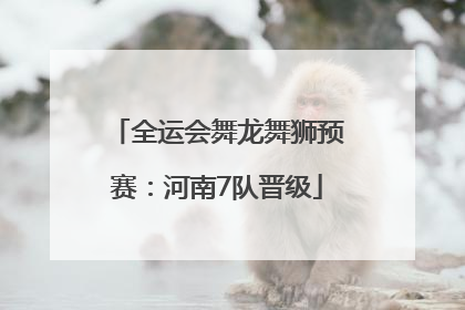 全运会舞龙舞狮预赛：河南7队晋级
