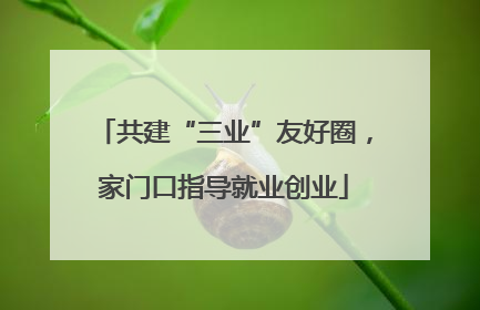 共建“三业”友好圈，家门口指导就业创业
