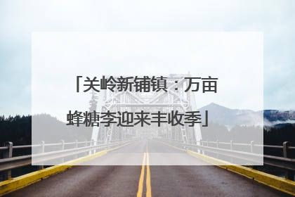 关岭新铺镇：万亩蜂糖李迎来丰收季