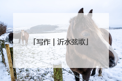 写作｜沂水弦歌