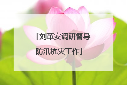 刘革安调研督导防汛抗灾工作