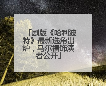 剧版《哈利波特》最新选角出炉，马尔福饰演者公开
