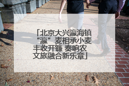 北京大兴瀛海镇“瀛”麦相承小麦丰收开镰 奏响农文旅融合新乐章