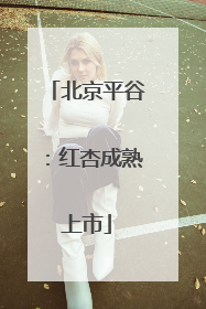 北京平谷：红杏成熟上市