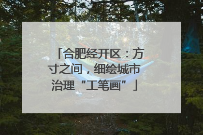 合肥经开区：方寸之间，细绘城市治理“工笔画”