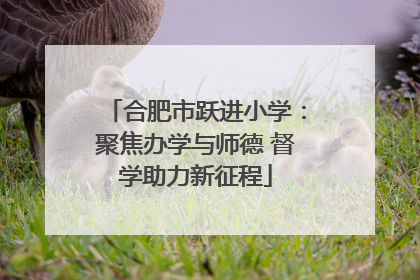 合肥市跃进小学：聚焦办学与师德 督学助力新征程