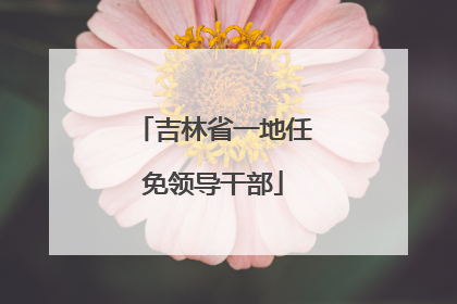 吉林省一地任免领导干部