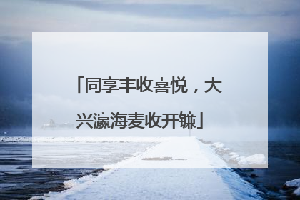 同享丰收喜悦，大兴瀛海麦收开镰