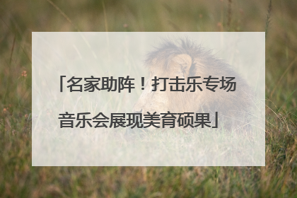 名家助阵！打击乐专场音乐会展现美育硕果
