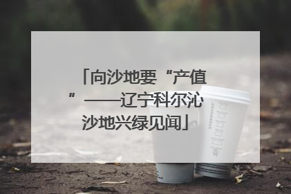 向沙地要“产值”——辽宁科尔沁沙地兴绿见闻