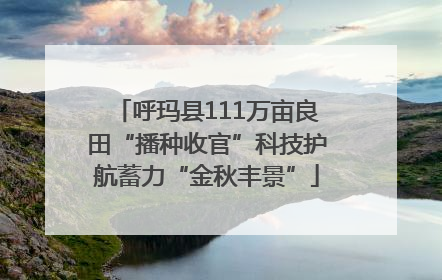 呼玛县111万亩良田“播种收官”科技护航蓄力“金秋丰景”