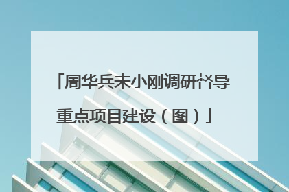 周华兵未小刚调研督导重点项目建设（图）