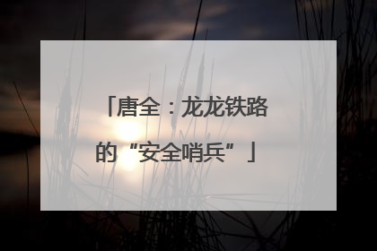 唐全：龙龙铁路的“安全哨兵”