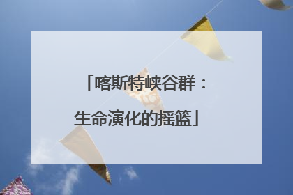 喀斯特峡谷群：生命演化的摇篮