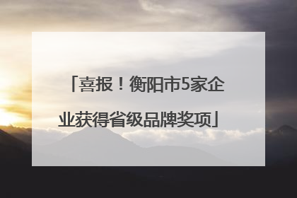 喜报！衡阳市5家企业获得省级品牌奖项