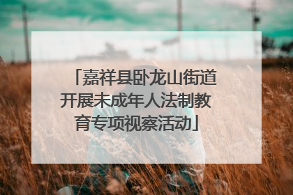 嘉祥县卧龙山街道开展未成年人法制教育专项视察活动