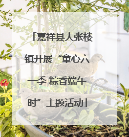 嘉祥县大张楼镇开展“童心六一季 粽香端午时”主题活动