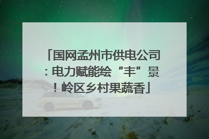 国网孟州市供电公司：电力赋能绘“丰”景！岭区乡村果蔬香