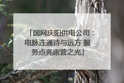 国网庆阳供电公司：电脉连通诗与远方 服务点亮露营之光