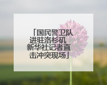 国民警卫队进驻洛杉矶 新华社记者直击冲突现场