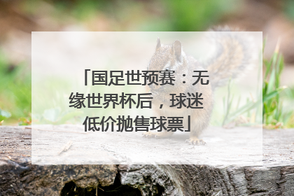 国足世预赛：无缘世界杯后，球迷低价抛售球票